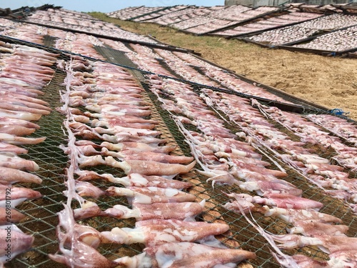 Natural dried octopus seafood in thailand