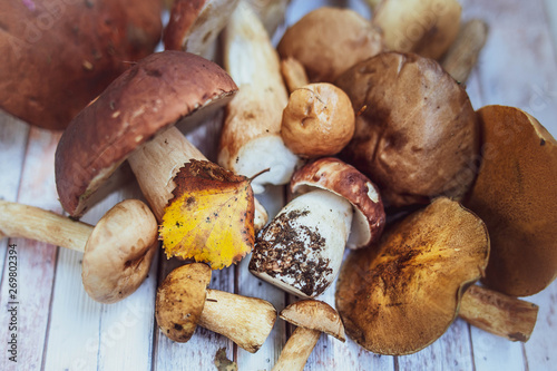 Mushrooms on the table, autumn, mushroom background, porcini and brown cap boletus