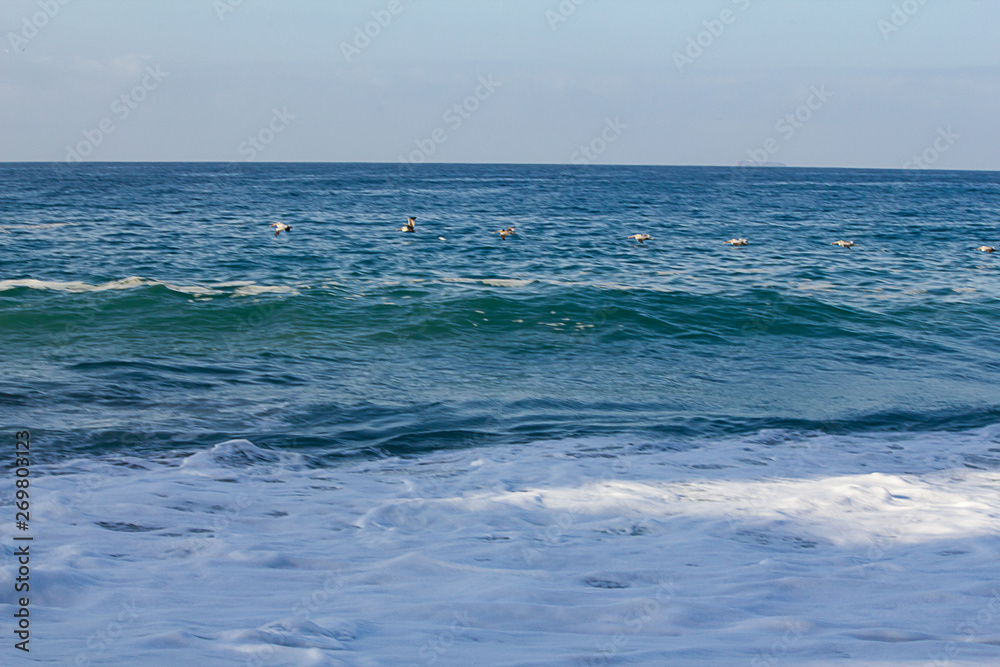ocean swells with foaming froth, line of birds flying through horizon