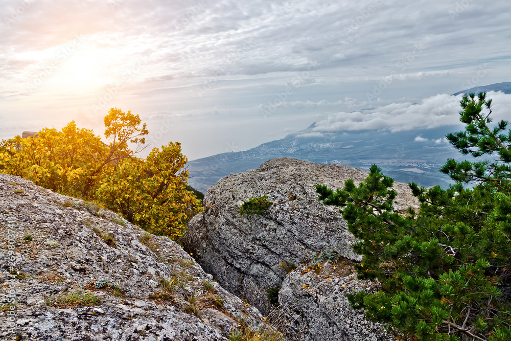 summer mountain landscape