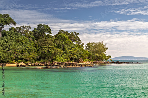 Green Palm branches Ocean coast wild tropical beach. © Emoji Smileys People