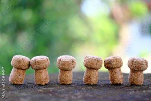 clclose up cork champagne and sparkling wine background photo