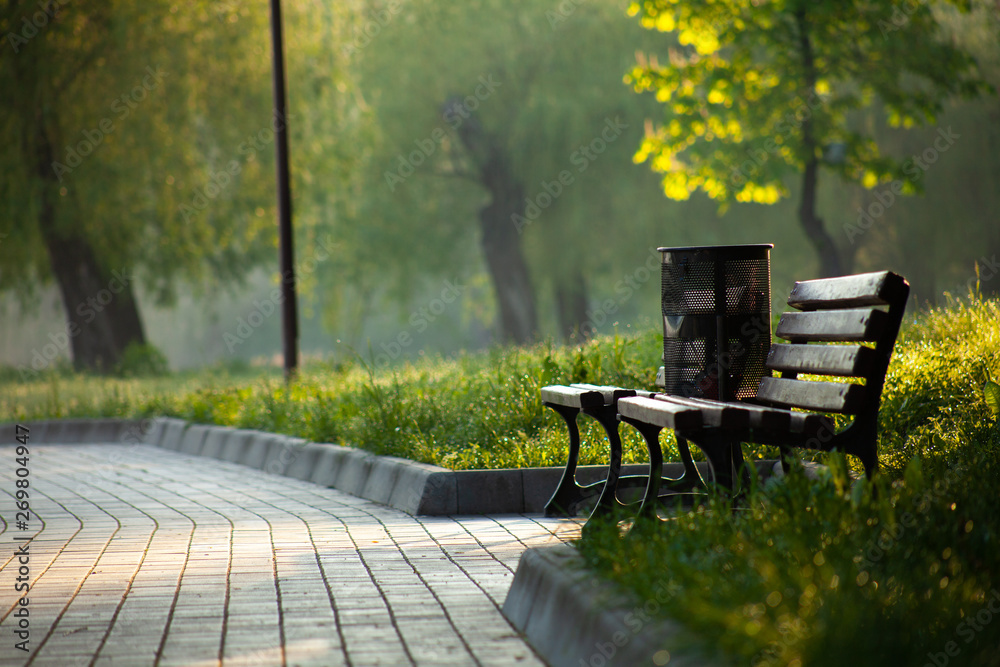 Bench in the park early morning beautiful light and sun, blurred background
