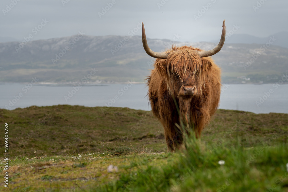 Schottland Isle of Skye Schottland Isle of Skye