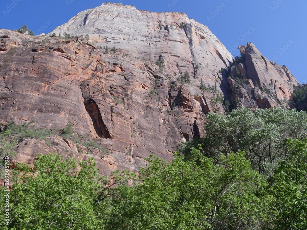 Medium close up of the walls of an imposing sandstone cliff with treetops in the bottom at Zion National Park, Utah.