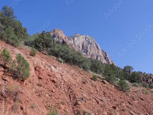 Wide upward shot of red mountains and sandstone cliffs at Zion National Park, Utah.
