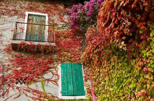 Coloured old windowa with flowers photo