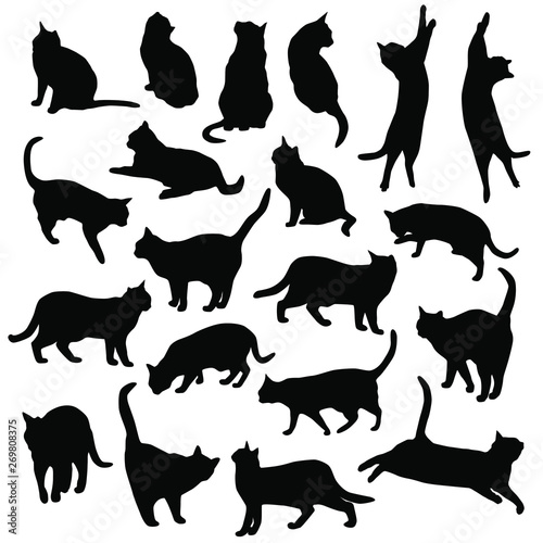 Set vector silhouettes of the cat  different poses  standing  jumping and sitting   black color  isolated on white background