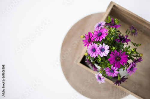 African daisy flowers bouquet, copy space