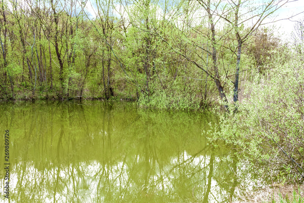 Fototapeta premium beautiful fine, lovely, pretty, attractive forest lake among the mountains of the North Caucasus