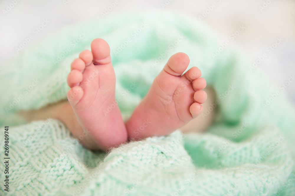 Newborn Baby Feet, Sleeping New Born Kid Legs, shallow depth of field Newborn Baby Feet, Sleeping New Born Kid Legs, shallow depth of field