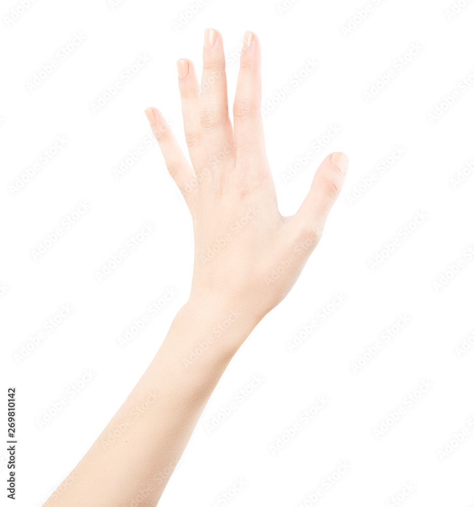 Female hand isolated on white background. White woman's hand showing symbols and gestures. Relaxed hand Female hand isolated on white background. White woman's hand showing symbols and gestures. Relaxed hand