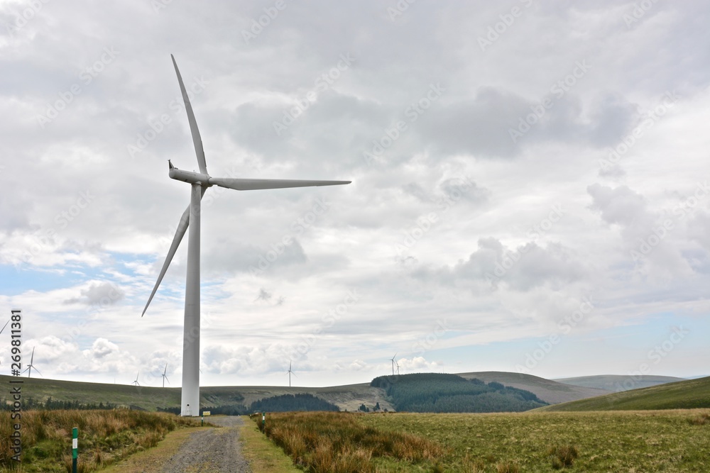 The Green Energy Revolution