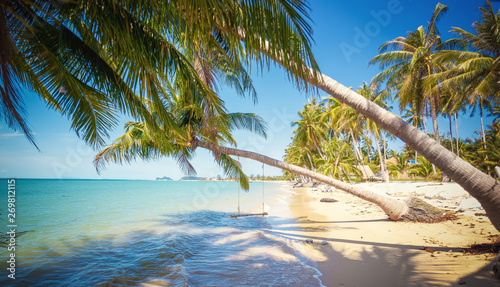 Beautiful tropical landscape  turquoise water  white sand and palm trees on the beach