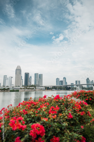 beautiful Singapore city view with colourful flowers in front, lake with city reflection in the middle and landscape with famous Marina Bay hotel as background