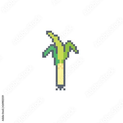 Pixel art leek icon.Vegetables vector sign for for web, mobile design and pixel games.