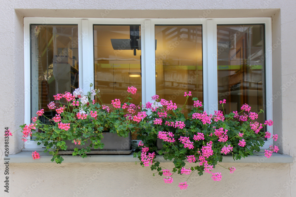 Naklejka premium Beautiful window with flower box