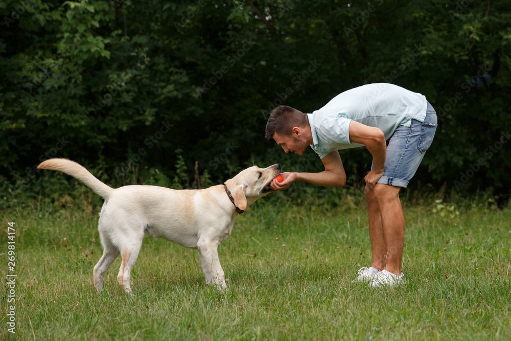 Happy young man is training a dog Labrador outdoors Happy young man is training a dog Labrador outdoors