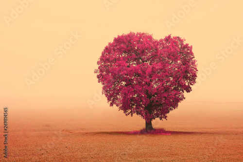 Abstract image with tree in form of heart as symbol of love, wedding or holy valentine's day © yarbeer