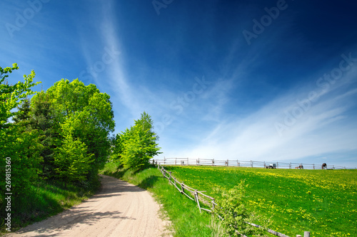 Country road beetwen woods and pasture. Spring landscape. Masuria, Poland. photo