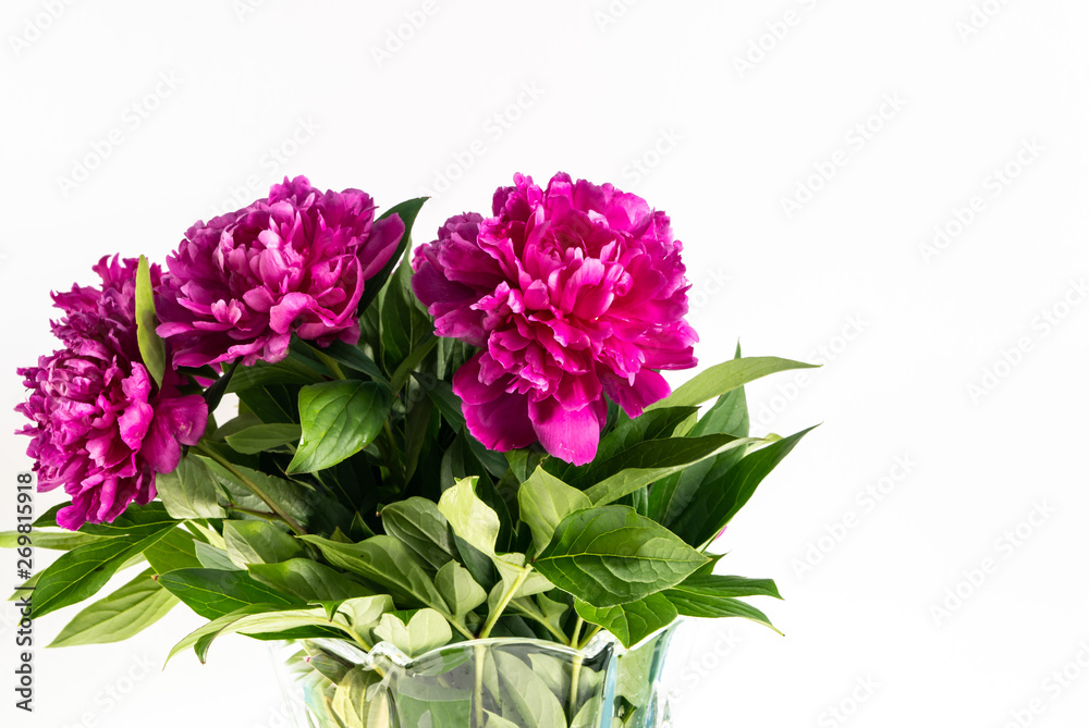 flowers peonies are on the table