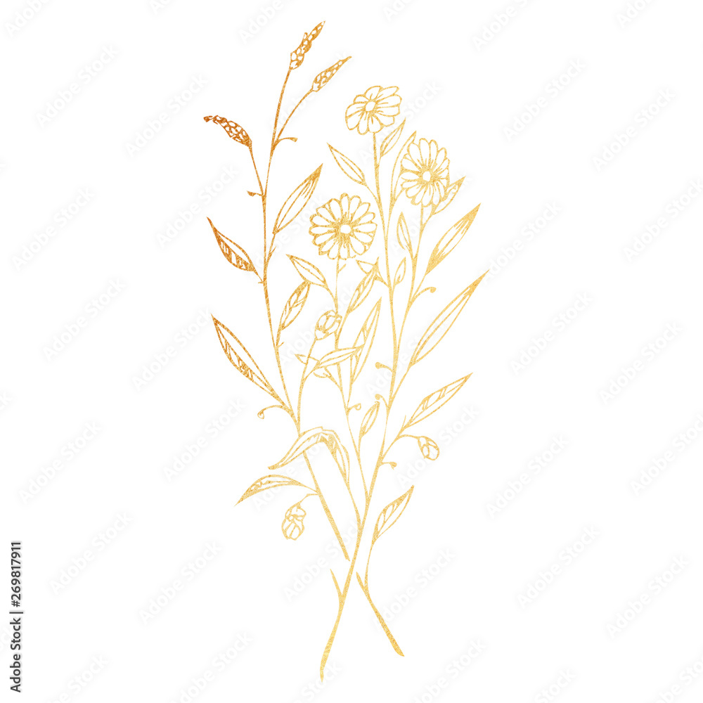 Golden branches of wild flowers hand drawn illustration isolated on white background Golden branches of wild flowers hand drawn illustration isolated on white background