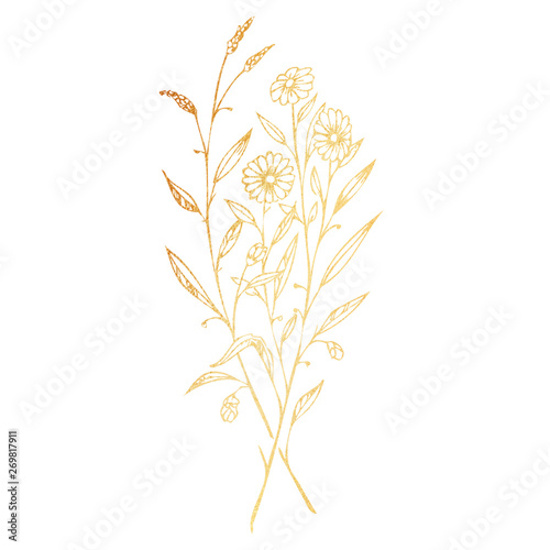 Fototapeta Naklejka Na Ścianę i Meble -  Golden branches of wild flowers hand drawn illustration isolated on white background