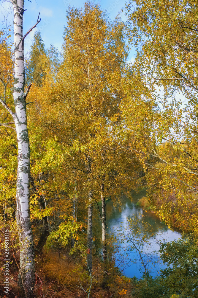 Autumn park with river