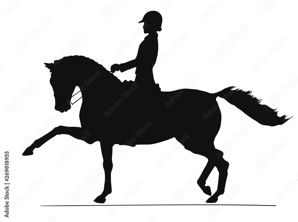 Silhouette of a young rider on a horse demonstrates a high trot