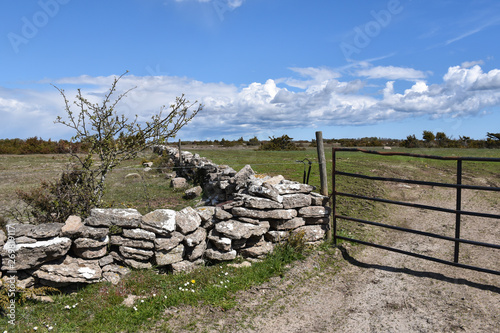 Dry stone walls and a gate at a great plain grassland © Birgitta