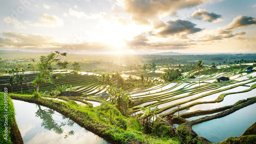Beautiful sunrise over the Jatiluwih Rice Terraces in Bali, Indonesia. photo