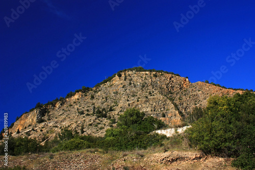 Stone slope overgrown with shrubs