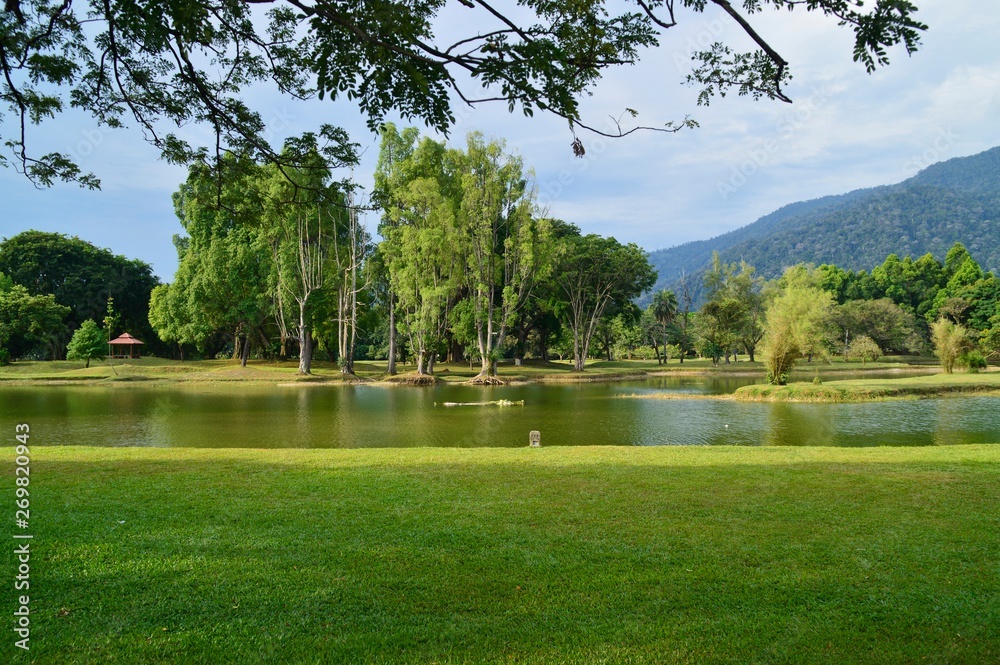 Fototapeta premium golf course on a sunny day