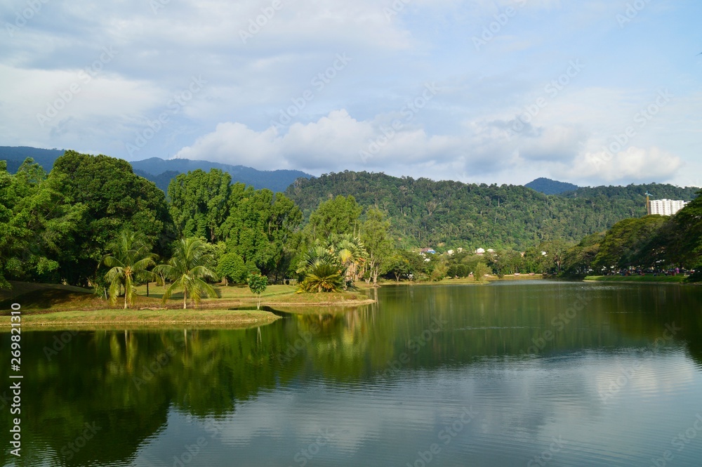 lake in forest