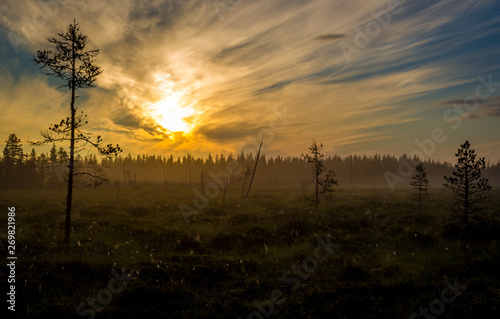 Open mire landscape