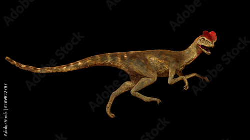 running Dilophosaurus, theropod dinosaur from the Early Jurassic period (3d illustration isolated on black background)