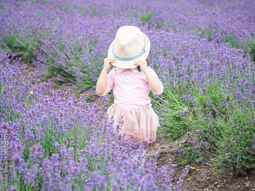 Little Chinese baby posing in beautiful purple lavender field, beautiful young girl with lovely braid, happy children lifestyle.