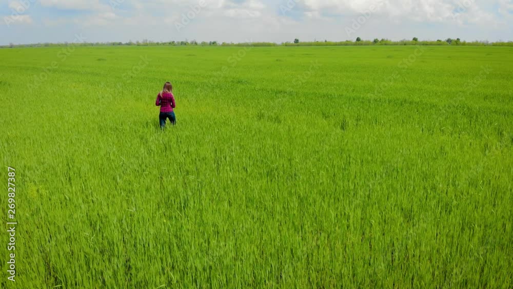 Aerial view of young female agronomist enjoying good grain crops sprouting on large green field in countryside. Drone shoots video about technology of agricultural food products and concept of harvest Aerial view of young female agronomist enjoying good grain crops sprouting on large green field in countryside. Drone shoots video about technology of agricultural food products and concept of harvest
