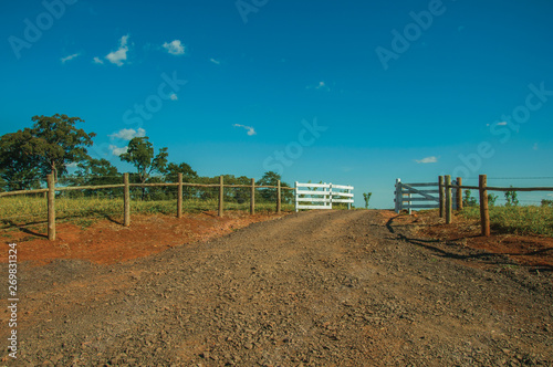 Farm gate with cattle guard and barbed wire fence