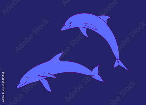 Two blue friendly dolphins. Vector cartoon cute marine animal illustration  isolated on navy background