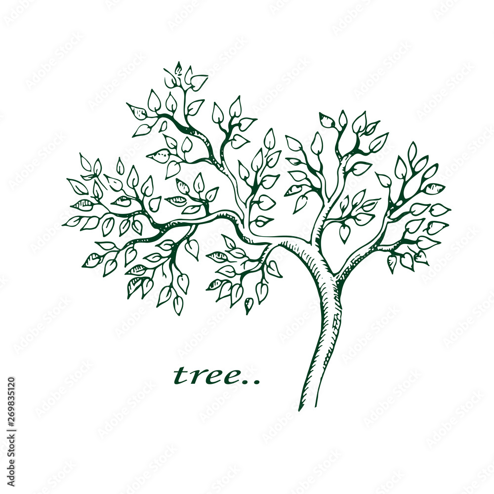 Beautiful graphic tree with green leaves and branches on white background. Great element of nature design.