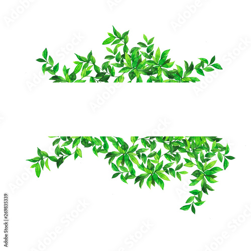 Spring leaves decorative border isolated on white background. Hand drawn watercolor illustration.