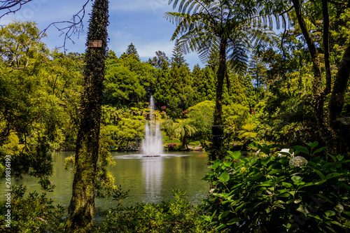 Queen Elizabeth II fountain shows off in the pond  Pukekura Park  New Plymouth  New Zealand