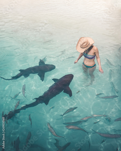 Brave young woman in the water with nurse sharks at Compass Cay in The Bahamas.