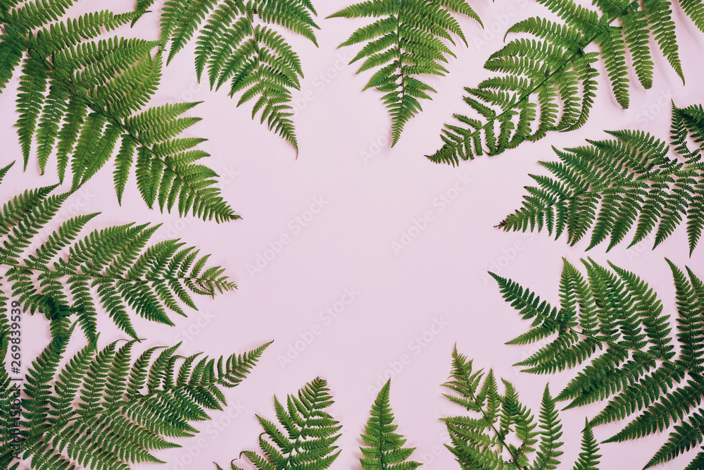 Summer composition. Tropical fern leaves on pastel pink background. Summer concept. Flat lay, top view, copy space