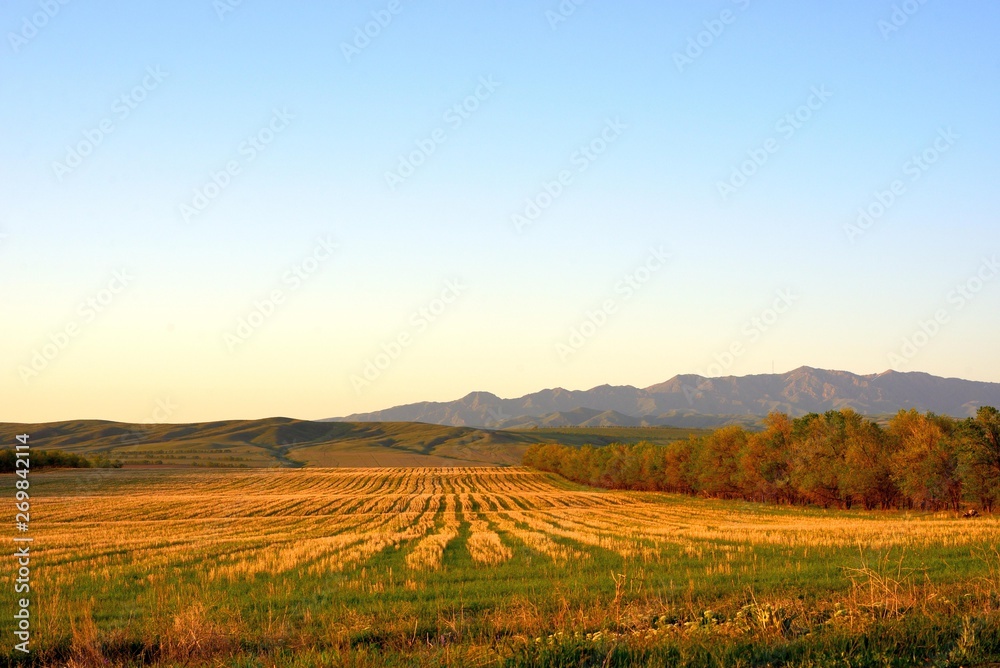 Rural area dawn landscape of fields and mountains near Saryozek, Almaty region