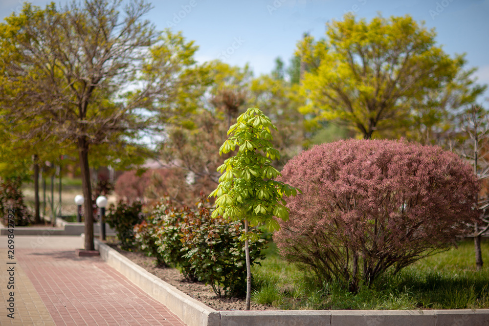 Naklejka premium summer and spring colors of nature