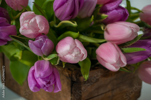 Beautiful pink tulips in a wooden box. . Congratulations. Festive background.