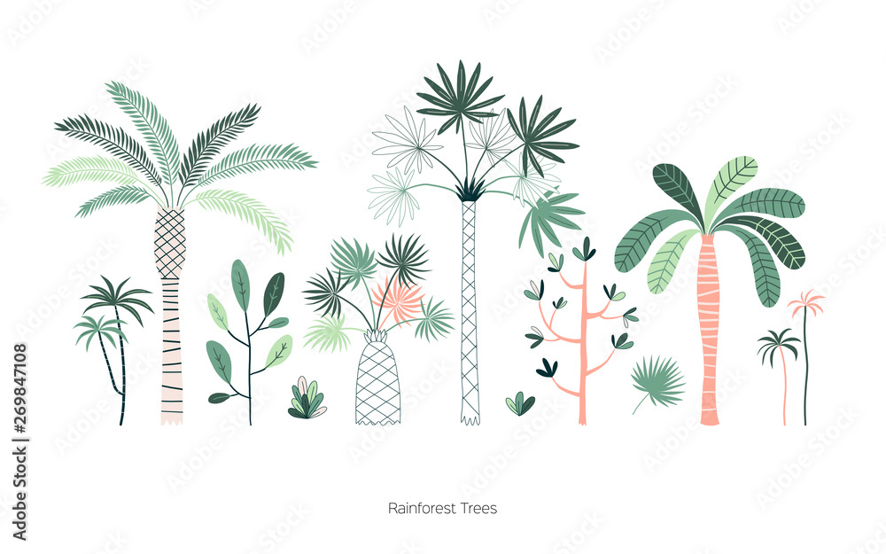 Obraz premium Rainforest trees hand drawn vector illustrations set. Exotic green tropic forest. Tropical plants. Botanical hawaii nature. Jungle landscape t shirt prints, poster design elements