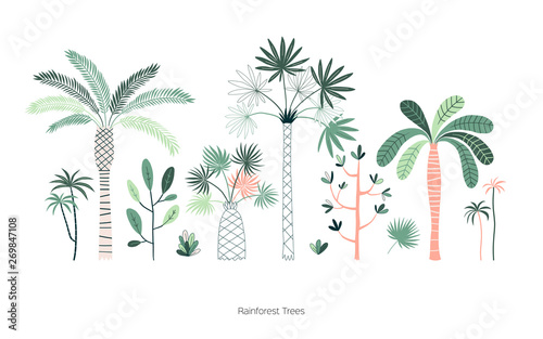 Rainforest trees hand drawn vector illustrations set. Exotic green tropic forest. Tropical plants. Botanical hawaii nature. Jungle landscape t shirt prints, poster design elements
